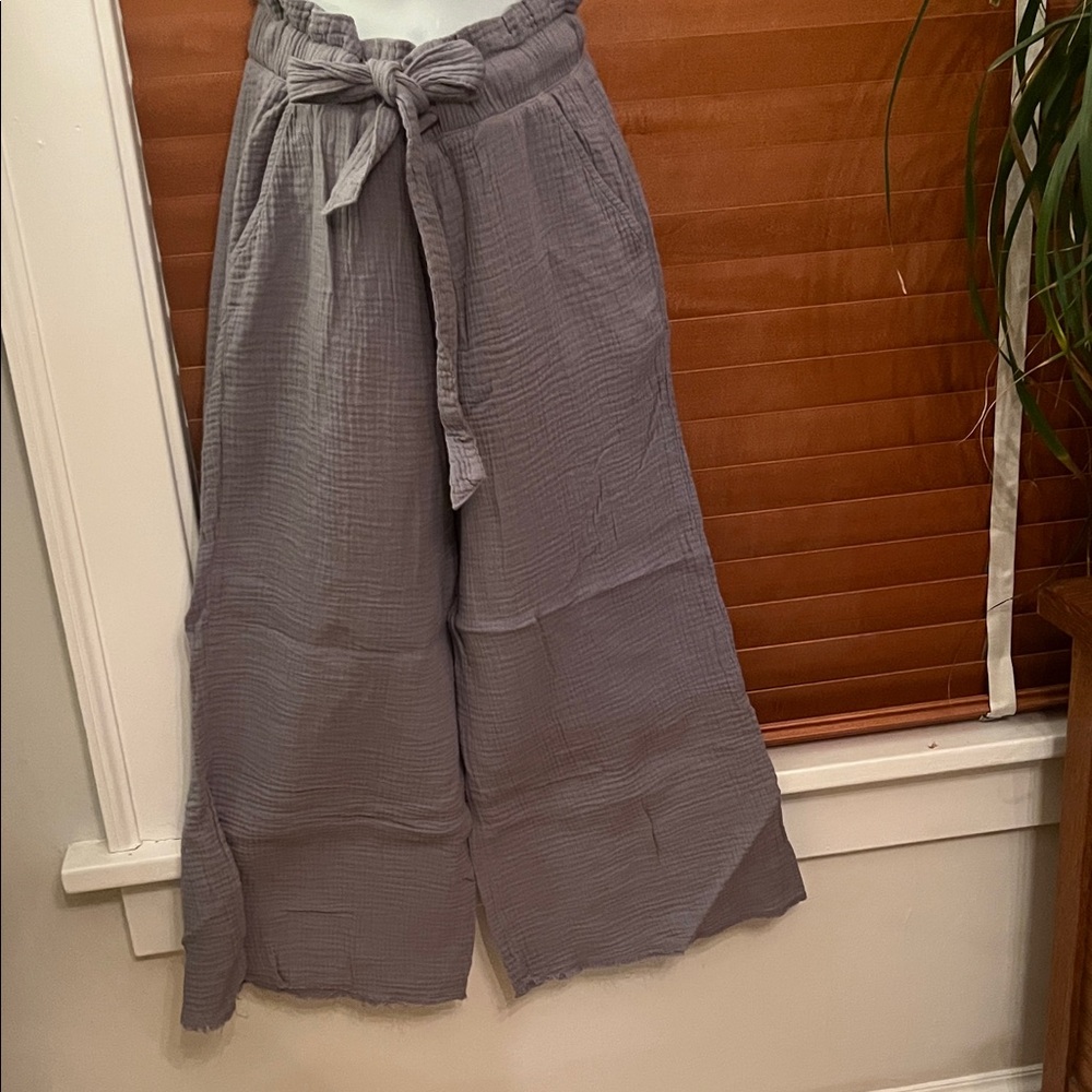 Sincerely Jules Gray Wide Leg Pants